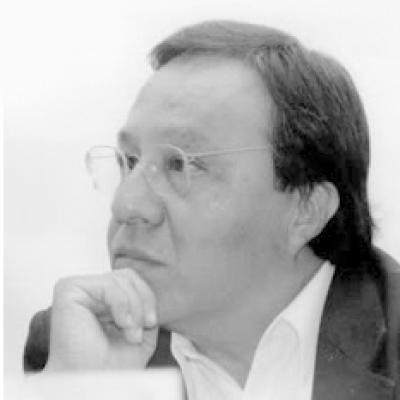 Vicente Torres Medina